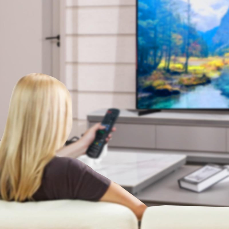 WINFLIKE NS-RC03A-13 New Remote Control TV Fit for NS-39L240A13 NS-19E310A13 NS-19E320A13 NS-22E340A13 NS-24E340A13 NS-24L240A13 NS-32D120A13 NS-32E320A13 NS-32E320A13A Insignia LCD LED TV - Image 4